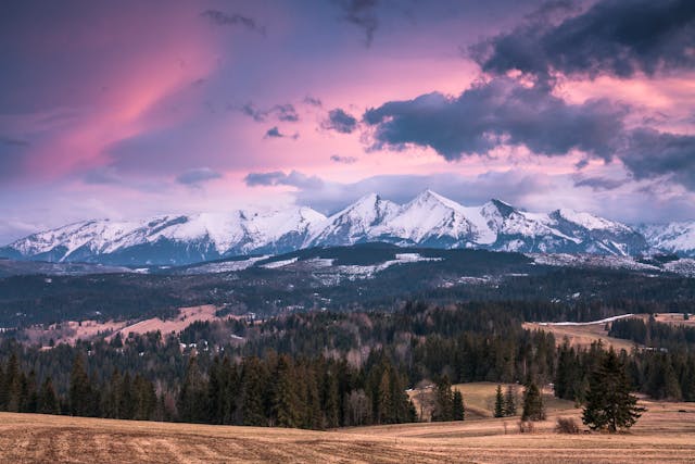 ręce, zespół, integracja